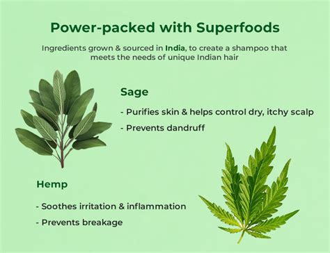 Naturali Anti Dandruff Shampoo with Sage & Salicylic Acid | Calms Itchy ...