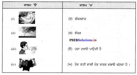 Image result for PSEB Class 7 Computer Science Ch. 8