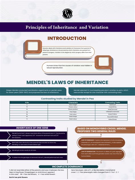 Image result for Inheritance in Java Mind Map