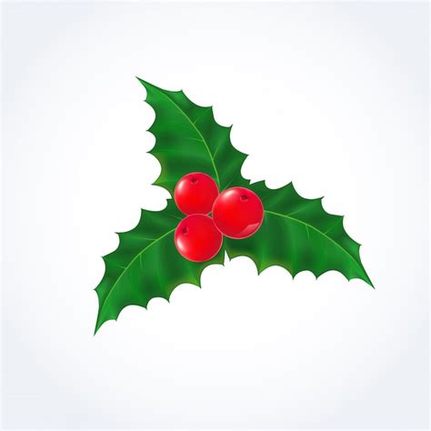 Holly leaf png Images - Free Download on Freepik