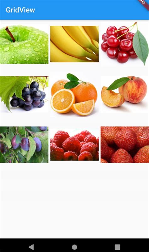 Flutter GridView Example 的图像结果