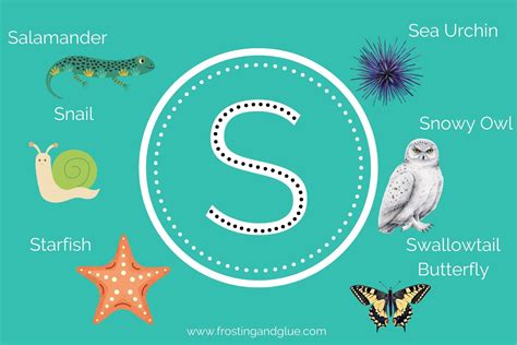 370 Spectacular Animals that Start with S