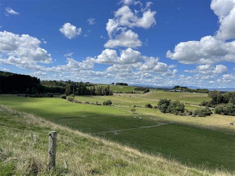 About 1 — Makino Horse Grazing- Feilding, Manawatu