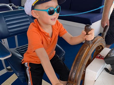 DOLPHIN WATCH CRUISES (2026) All You Need to Know BEFORE You Go (with ...