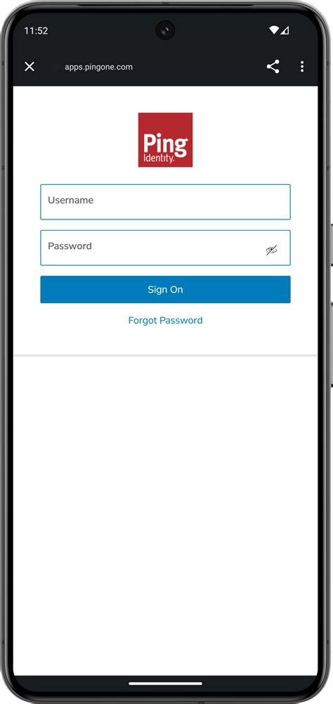 Step 3. Test the app | Ping SDKs