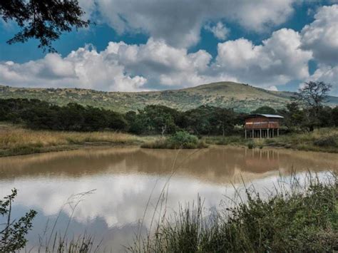 Dragon & Eagle, Lydenburg