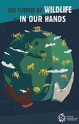 Image result for Save the Animals Earth