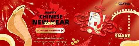 Company Overview - Guangdong Chuang Cheng Yi Pack Co., Ltd.