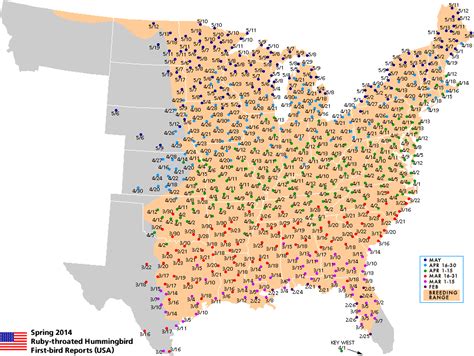 Image result for Hummingbird Distribution Map