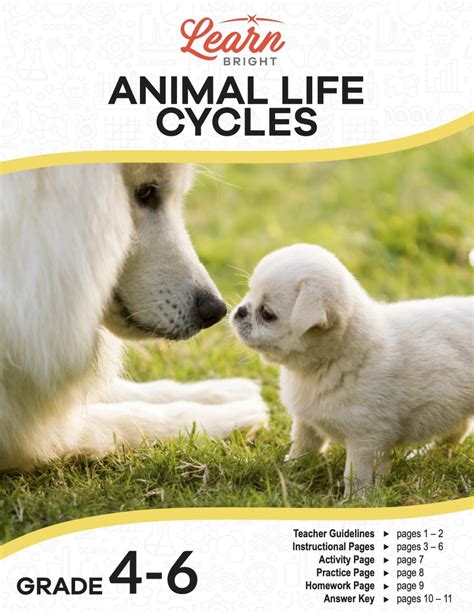 Animal Life Cycles, Free PDF Download - Learn Bright