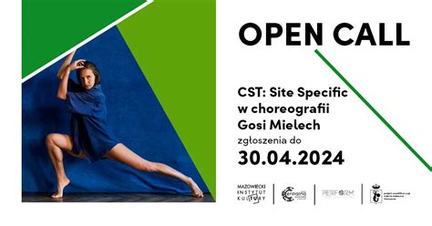 Image result for Open Call Modeling