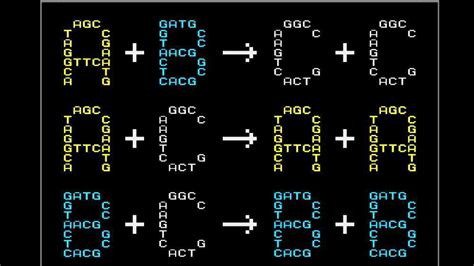 Image result for B Programming Language