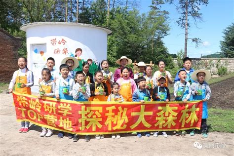 基层动态 | 带岭区迅速传达学习贯彻全市宣传部长会议精神