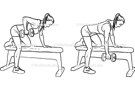 Image result for Bench Row