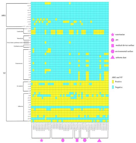 Biofilm Production Ability, Virulence and Antimicrobial Resistance ...