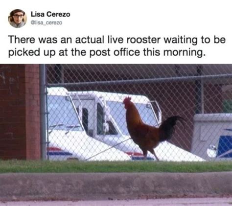 Hometown Local Memes 的图像结果