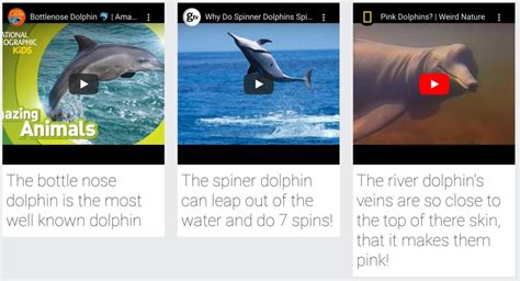 How to Make Video Lesson 的图像结果