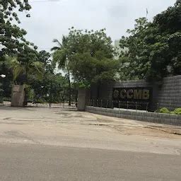 CSIR–Centre For Cellular And Molecular Biology (CCMB) - Research ...