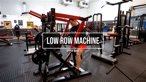 Image result for Low Row Back Machine