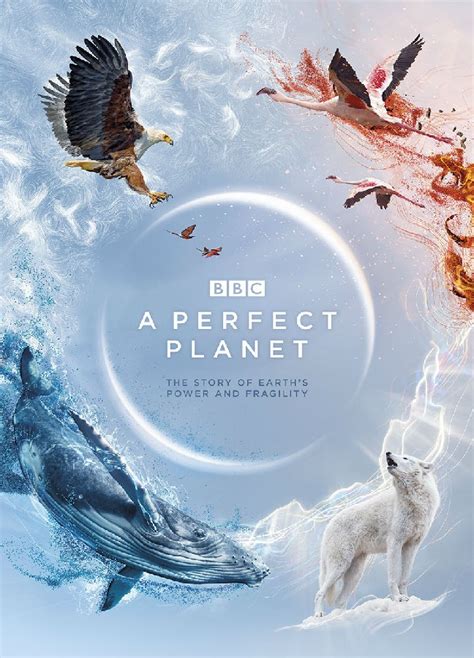 [完美星球 A Perfect Planet 第一季][全05集]BD高清百度云下载-百度云电影资源网