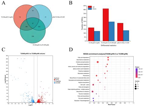 Enhanced Biomass and Protein Synthesis in Engineered Cyberlindnera ...