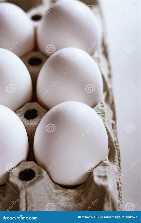 Six Eggs in an Egg Clutch One Egg Cell Close Up Stock Image - Image of ...