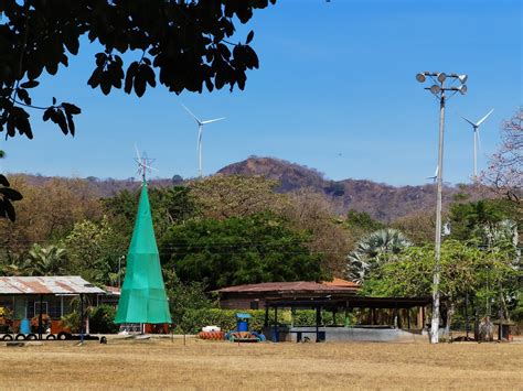 El sabanero centenario de la Zona Azul | La Nación