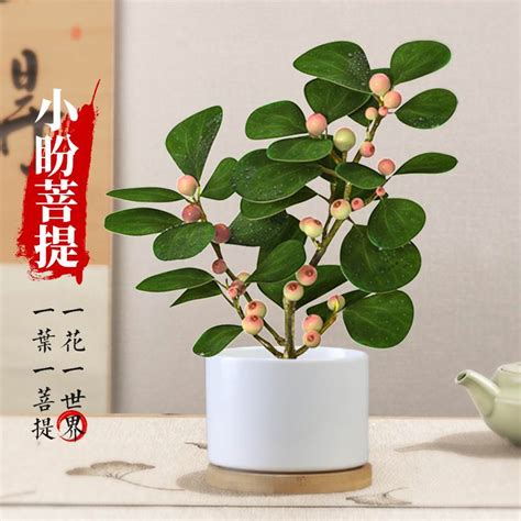 仿真植物落地盆景盆栽带盆花卉摆件桌摆室内客厅装饰仿真绿植盆栽-阿里巴巴