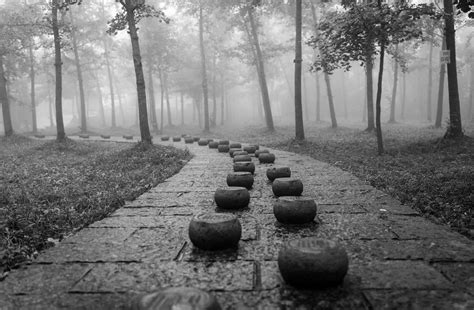 12 Step Programme 的图像结果