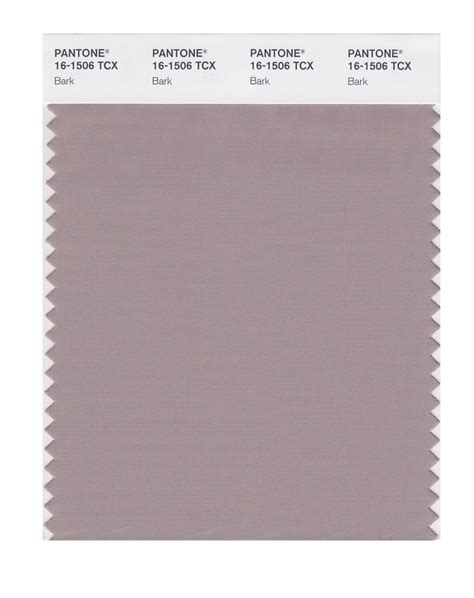 PANTONE SMART 16-1506X Color Swatch Card, Bark : Amazon.in: Home ...