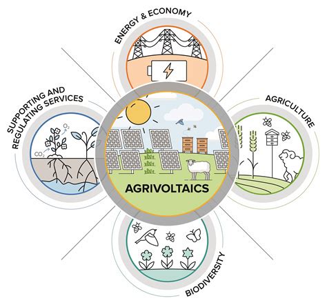 Optimizing Renewable Energy Development and Ecosystem Services ...