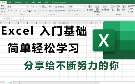 Excel教程Excel基础入门教程Excel函数Excel制作表格Excel2010办公软件Excel学习Excel视频教程小白脱白系列课程 ...