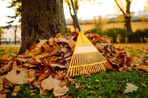 Why You Should Leave Some Leaves For Wildlife In Oregon