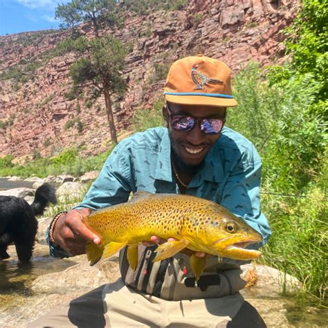 Image result for Python Roosevelt