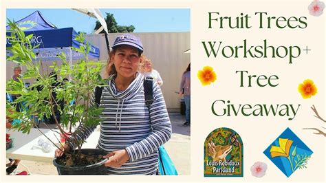 Fruit Trees Workshop + Free Tree Giveaway, 5370 Riverview Drive ...