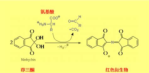 产品中心