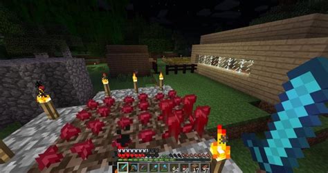 How To Grow Nether Warts In Minecraft | Complete Guide & Tips