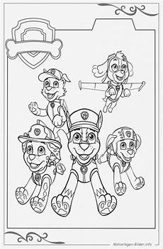 paw patrol figuren zum ausmalen paw patrol malvorlagen bildergalerie bilder zum ausmalen paw patrol figuren zum ausmalen paw patrol malvorlagen bildergalerie bilder zum ausmalen