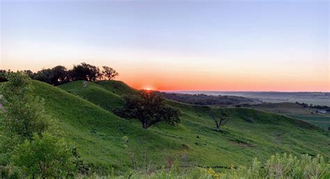 Nature Center 的图像结果