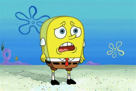 Image result for Normal Spongebob