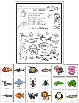 Image result for Colour Sort Fish