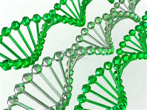 基因图片 的图像结果