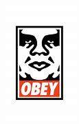 obey 的图像结果