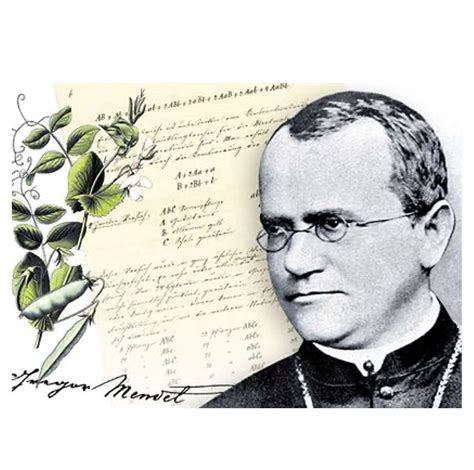 Interesting Genetics 的图像结果