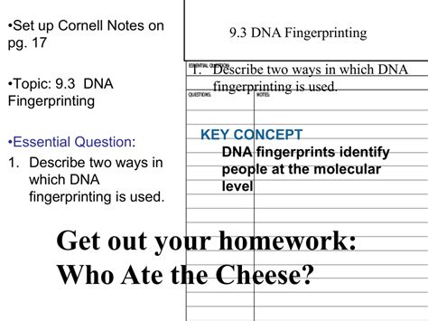 Image result for DNA Fingerprinting Lab Worksheet Printable