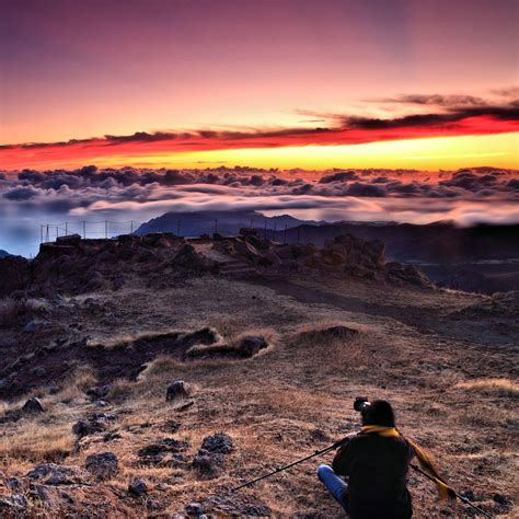 Photographer 的图像结果