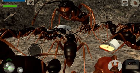 Image result for Ant Simulation JavaScript