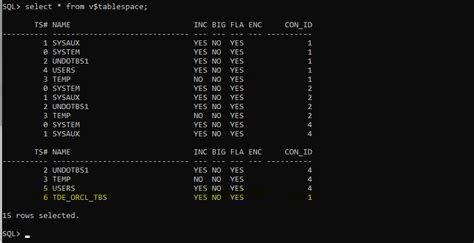 Image result for Oracle Database Encryption