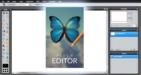Image result for Pixlr Editor Basic