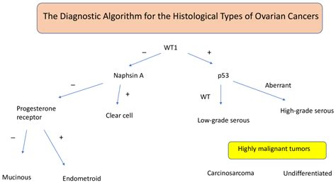 Ovarian Cancer—Epidemiology, Classification, Pathogenesis, Treatment ...